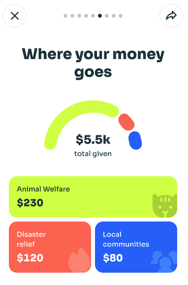 Ritmo app - where your money goes